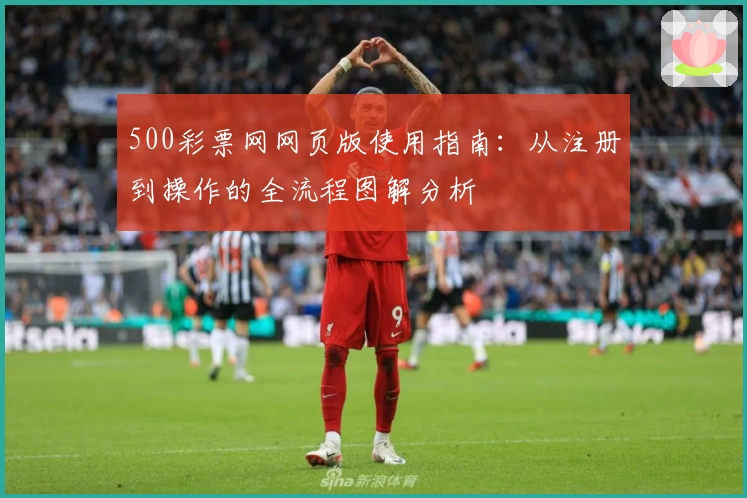 500彩票网网页版使用指南：从注册到操作的全流程图解分析