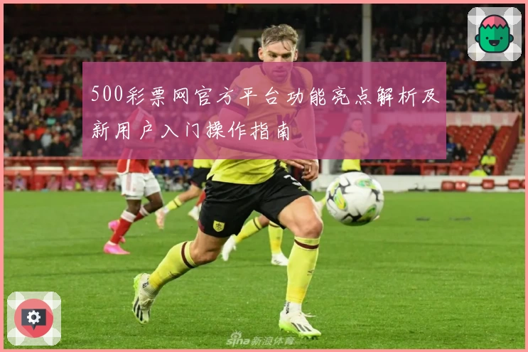 500彩票网官方平台功能亮点解析及新用户入门操作指南